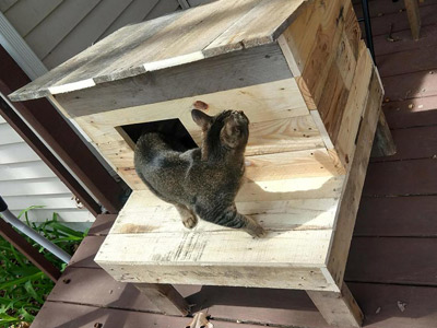 Cat Houses